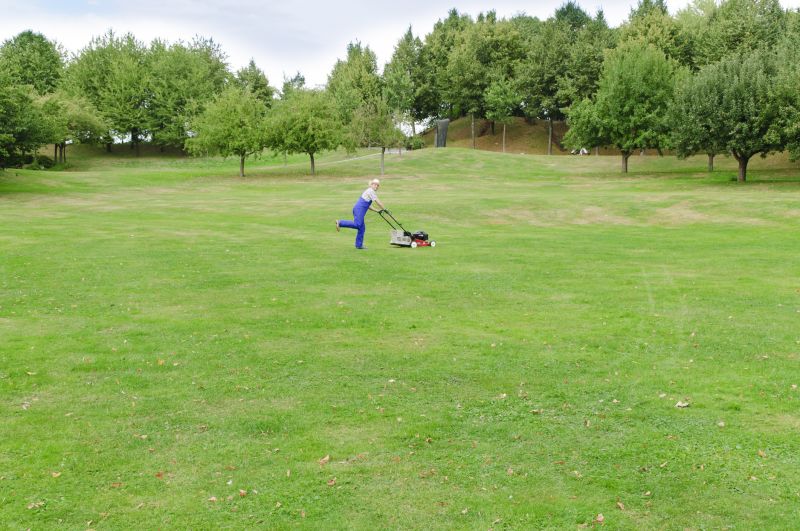 Increase Your Lawn Mowing Business with an AI Driven, Targeted Website