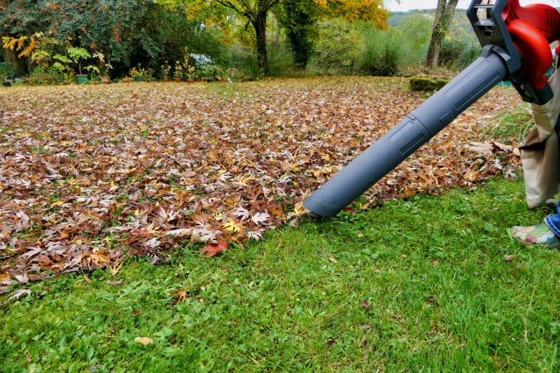 Leaf Blowing for Fast Clearing