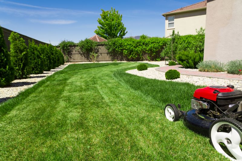 Lawn Care And Maintenance