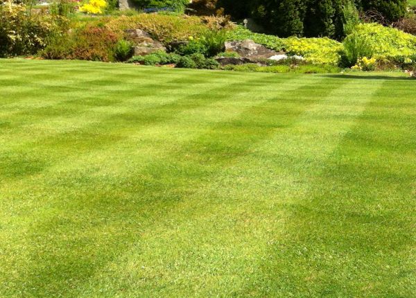 Commercial Grass Cutting in Boulder