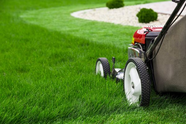 Lawn Cutting Service in Boulder