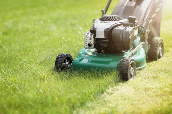 Yard Cutting in Boulder