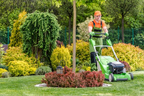 Yard Service in Boulder