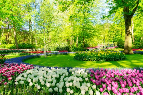 Cost of Spring Lawn Care in Boulder
