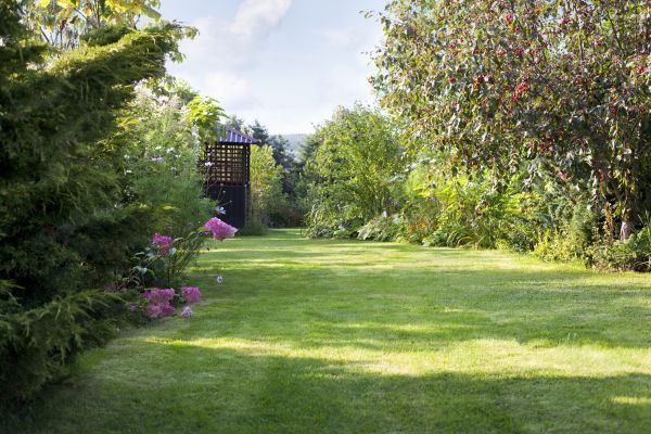 Yard Upkeep Service in Boulder