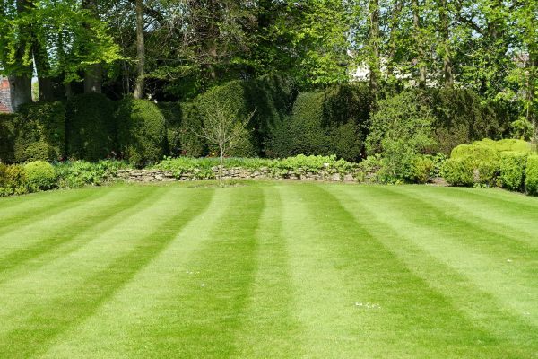 Grass Care Service in Boulder
