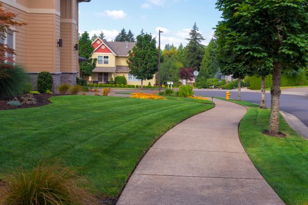 Home Lawn Maintenance in Boulder