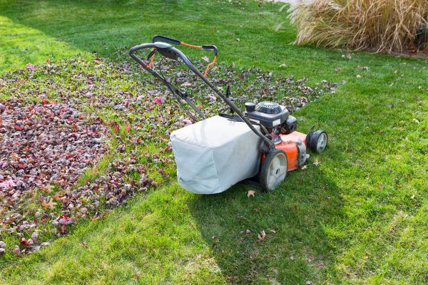 Seasonal Lawn Care in Boulder