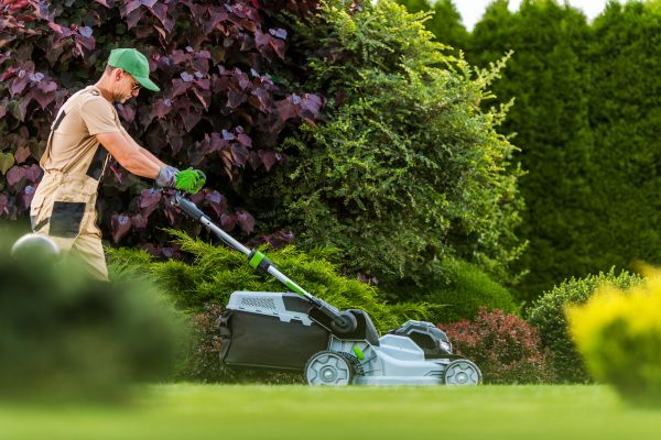 Lawn Management in Boulder
