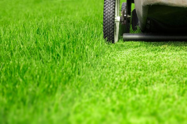 Weekly Lawn Care in Boulder