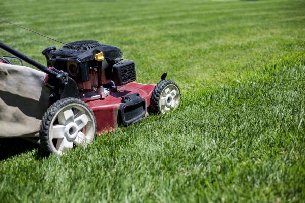 Routine Lawn Care in Boulder
