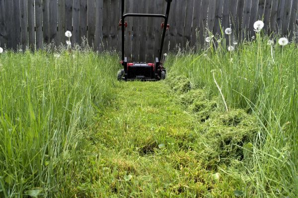 High Grass Mowing in Boulder