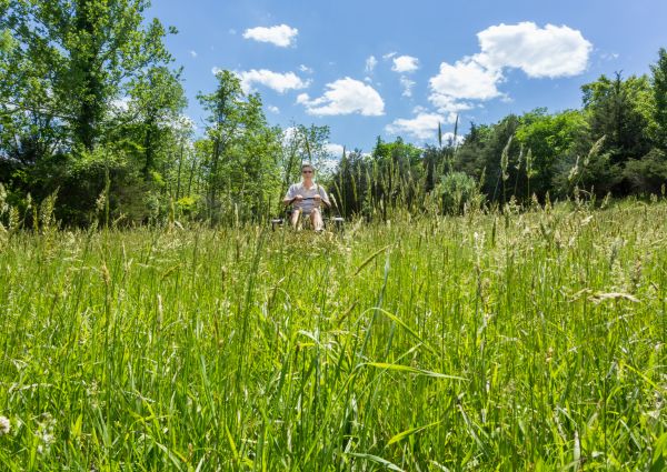 Long Grass Mowing in Boulder