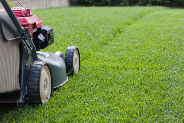 Summer Lawn Care in Boulder