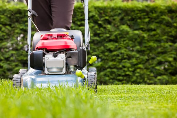 Grass Trimming Service in Boulder