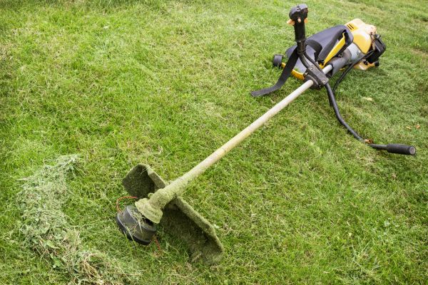 Hillside Weed Whacking in Boulder