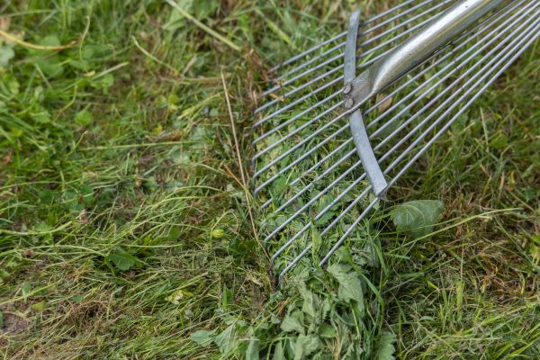 Thatch Raking in Boulder