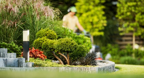 Residential Yard Maintenance in Boulder