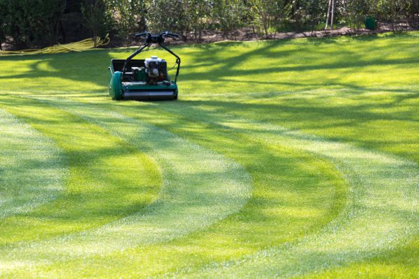 Business Lawn Mowing in Boulder