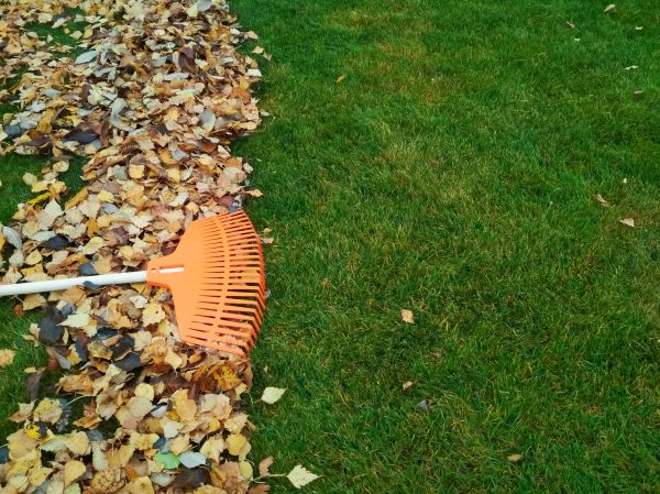Fall Lawn Care in Boulder