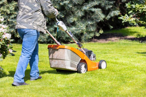 Springtime Lawn Care in Boulder