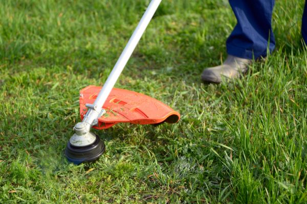 Lawn Weed Whacking in Boulder
